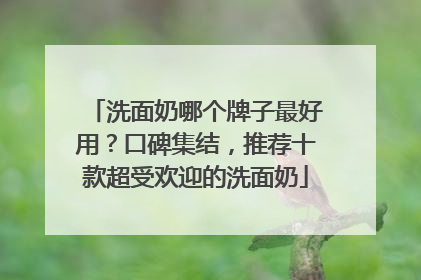 洗面奶哪个牌子最好用？口碑集结，推荐十款超受欢迎的洗面奶