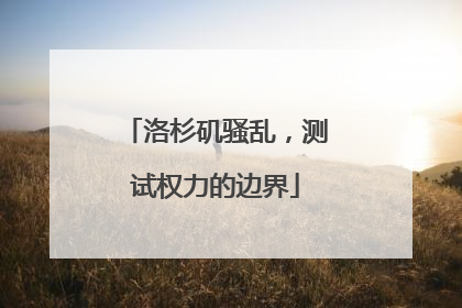 洛杉矶骚乱，测试权力的边界