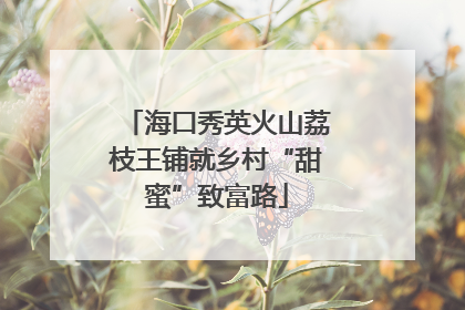 海口秀英火山荔枝王铺就乡村“甜蜜”致富路