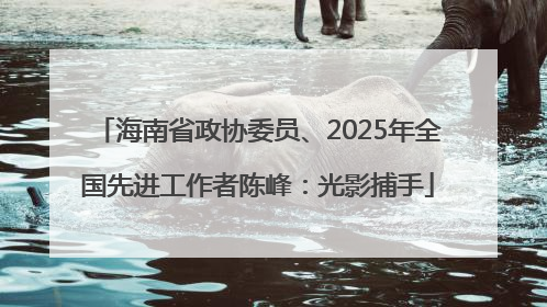 海南省政协委员、2025年全国先进工作者陈峰：光影捕手