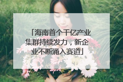 海南首个千亿产业集群持续发力，新企业不断涌入赛道
