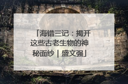 海错三记：揭开这些古老生物的神秘面纱｜盛文强