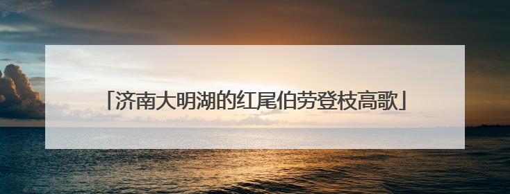 济南大明湖的红尾伯劳登枝高歌