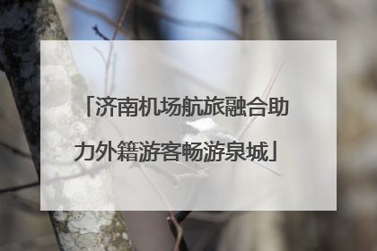 济南机场航旅融合助力外籍游客畅游泉城