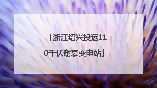 浙江绍兴投运110千伏谢慕变电站
