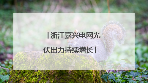 浙江嘉兴电网光伏出力持续增长