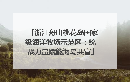 浙江舟山桃花岛国家级海洋牧场示范区：统战力量赋能海岛共富
