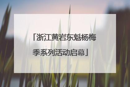 浙江黄岩东魁杨梅季系列活动启幕