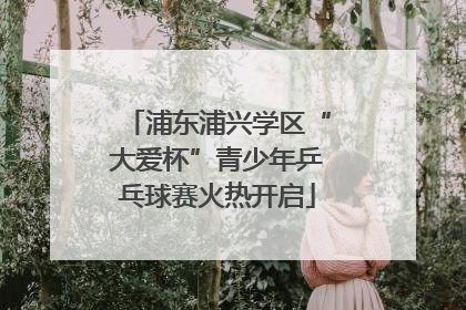 浦东浦兴学区“大爱杯”青少年乒乓球赛火热开启
