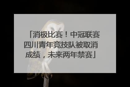 消极比赛！中冠联赛四川青年竞技队被取消成绩，未来两年禁赛