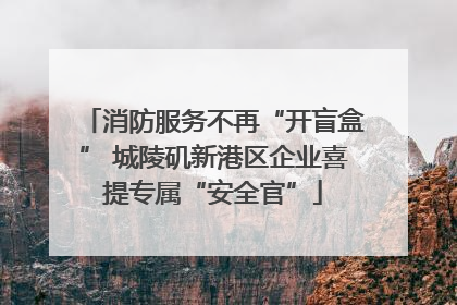 消防服务不再“开盲盒” 城陵矶新港区企业喜提专属“安全官”