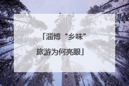 淄博“乡味”旅游为何亮眼