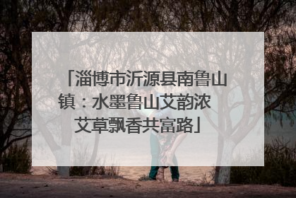 淄博市沂源县南鲁山镇：水墨鲁山艾韵浓 艾草飘香共富路