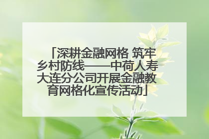 深耕金融网格 筑牢乡村防线——中荷人寿大连分公司开展金融教育网格化宣传活动