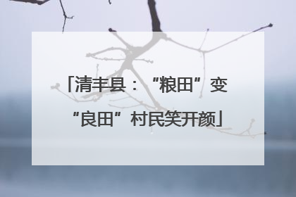 清丰县：“粮田”变“良田”村民笑开颜