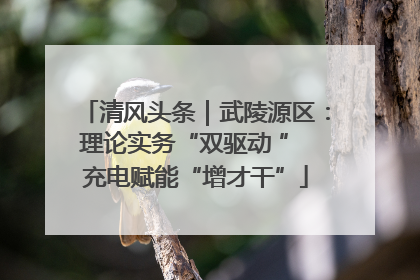 清风头条｜武陵源区：理论实务“双驱动 ” 充电赋能“增才干”