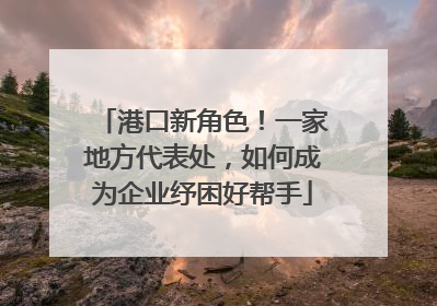 港口新角色！一家地方代表处，如何成为企业纾困好帮手