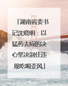 湖南省委书记沈晓明：以猛药去疴的决心坚决刹住违规吃喝歪风