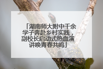 湖南师大附中千余学子奔赴乡村实践，副校长启动式热血演讲唤青春共鸣
