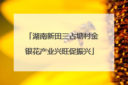 湖南新田三占塘村金银花产业兴旺促振兴