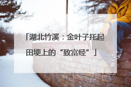 湖北竹溪：金叶子托起田埂上的“致富经”
