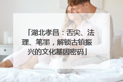 湖北孝昌：舌尖、法理、笔墨，解锁古镇振兴的文化基因密码