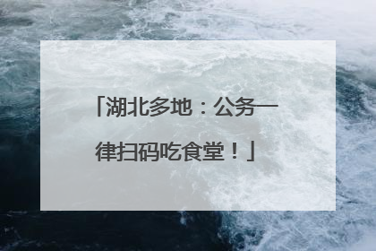 湖北多地：公务一律扫码吃食堂！