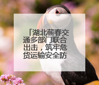 湖北蕲春交通多部门联合出击，筑牢危货运输安全防线