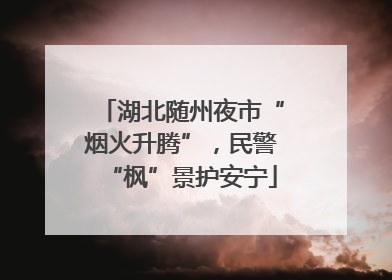 湖北随州夜市“烟火升腾”，民警“枫”景护安宁