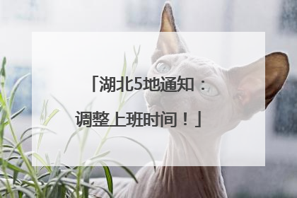湖北5地通知：调整上班时间！