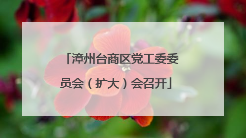 漳州台商区党工委委员会（扩大）会召开