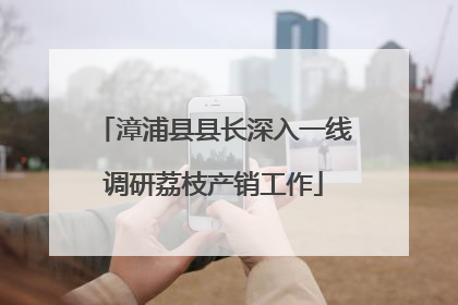 漳浦县县长深入一线调研荔枝产销工作