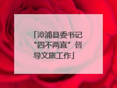漳浦县委书记“四不两直”督导文旅工作