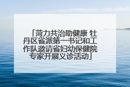 菏力共治助健康 牡丹区省派第一书记和工作队邀请省妇幼保健院专家开展义诊活动