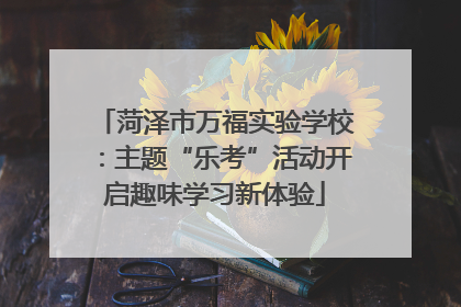 菏泽市万福实验学校：主题“乐考”活动开启趣味学习新体验