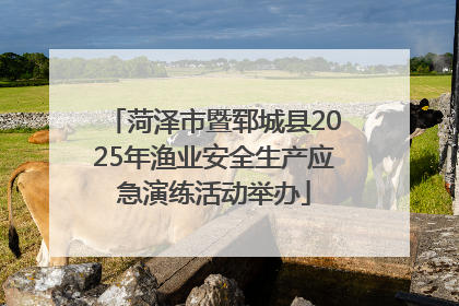 菏泽市暨郓城县2025年渔业安全生产应急演练活动举办