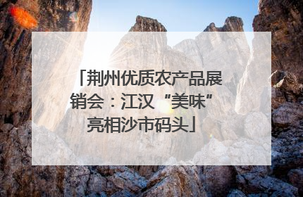 荆州优质农产品展销会：江汉“美味”亮相沙市码头