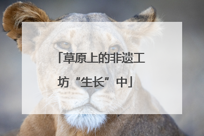 草原上的非遗工坊“生长”中