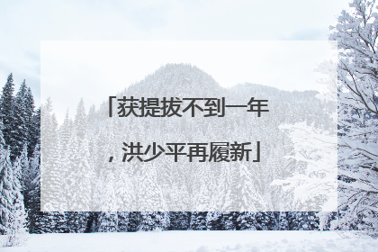 获提拔不到一年，洪少平再履新