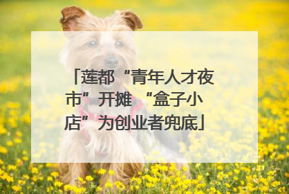 莲都“青年人才夜市”开摊 “盒子小店”为创业者兜底