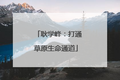 耿学峰：打通草原生命通道