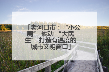 老河口市：“小公厕” 撬动 “大民生” 打造有温度的城市文明窗口