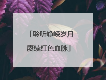 聆听峥嵘岁月 赓续红色血脉
