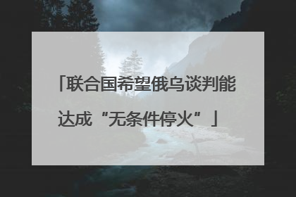 联合国希望俄乌谈判能达成“无条件停火”
