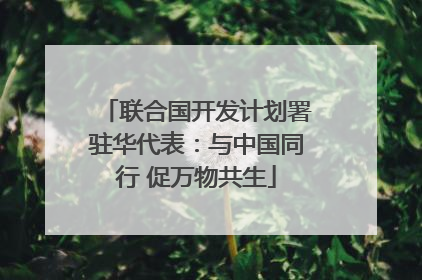 联合国开发计划署驻华代表：与中国同行 促万物共生