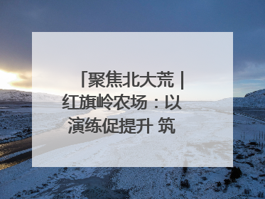 聚焦北大荒｜红旗岭农场：以演练促提升 筑牢平安基石