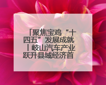 聚焦宝鸡“十四五”发展成就丨岐山汽车产业跃升县域经济首位 产值突破205亿 占规上工业75%