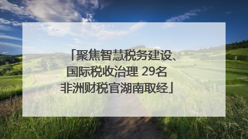 聚焦智慧税务建设、国际税收治理 29名非洲财税官湖南取经