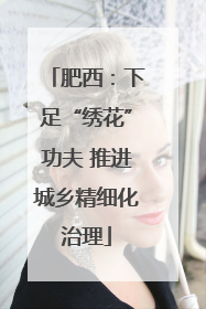 肥西：下足“绣花”功夫 推进城乡精细化治理