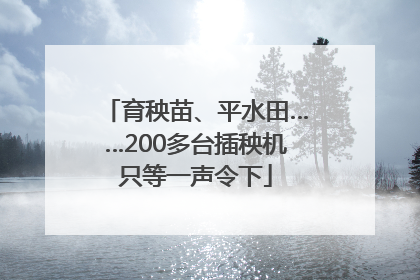 育秧苗、平水田……200多台插秧机只等一声令下